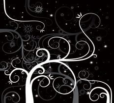 1204 Black And White